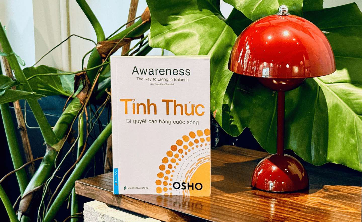 Tỉnh thức - Khám phá sức mạnh chuyển hóa của việc nhận thức trong cuộc sống hàng ngày