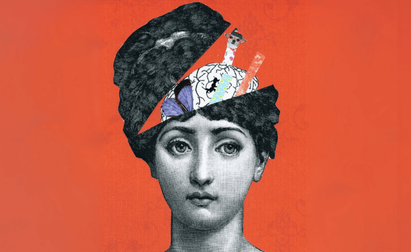 5 cuốn sách xuất sắc giúp “giải mã” bộ não