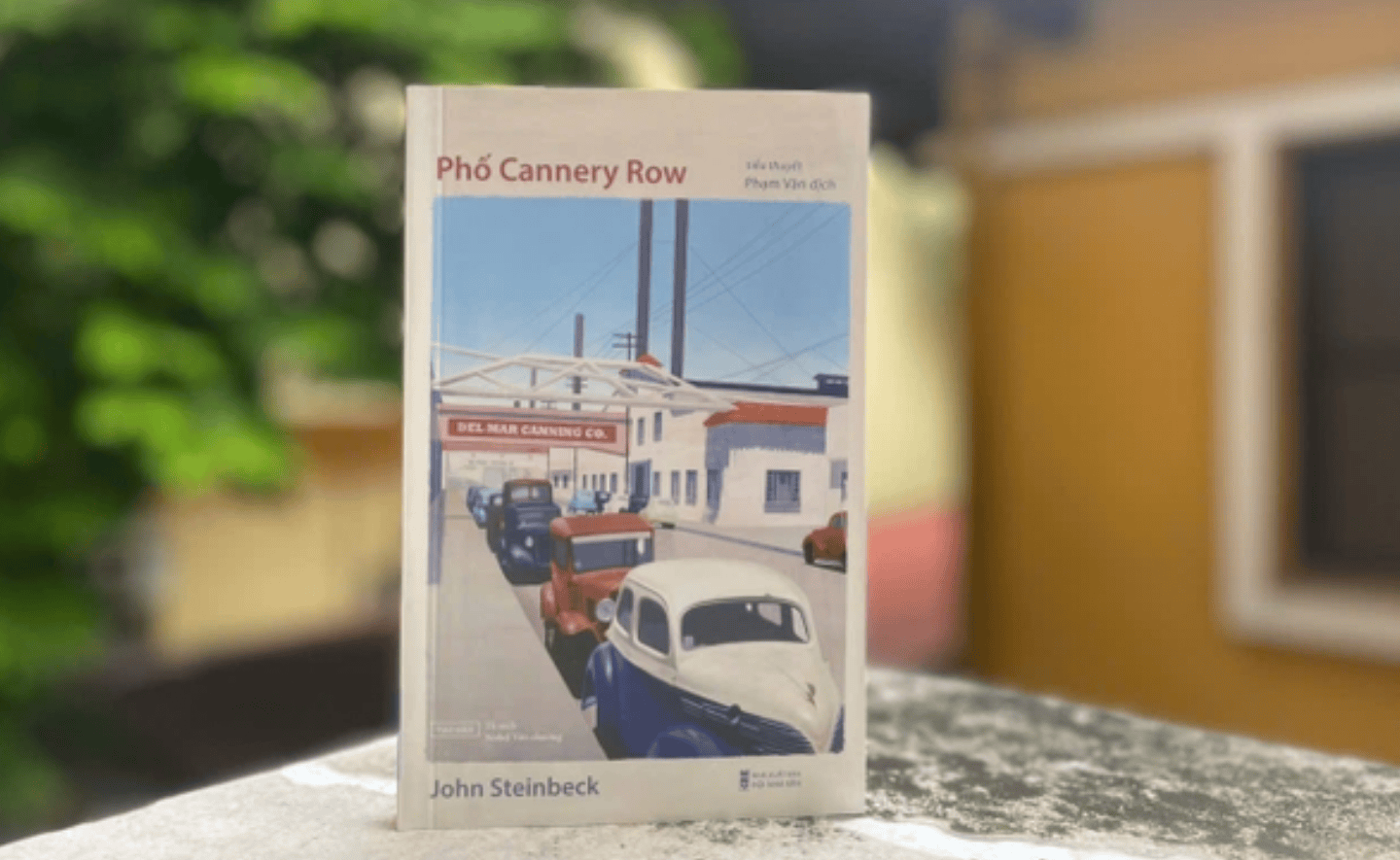[Review sách] Phố Cannery Row – John Steinbeck