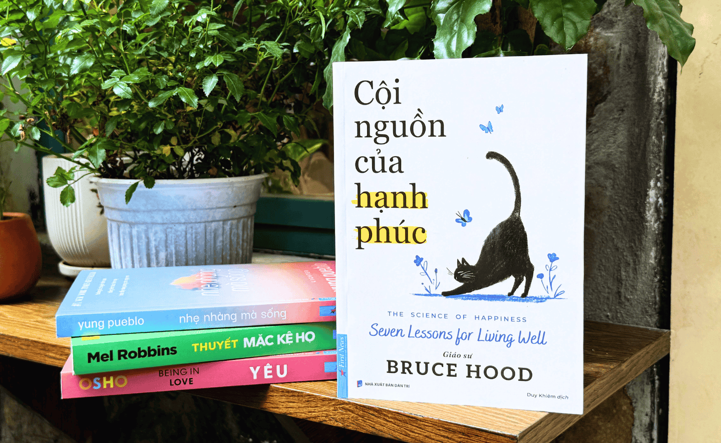 ‘Cội nguồn của hạnh phúc’ - Khám phá cội rễ của hạnh phúc từ góc nhìn khoa học