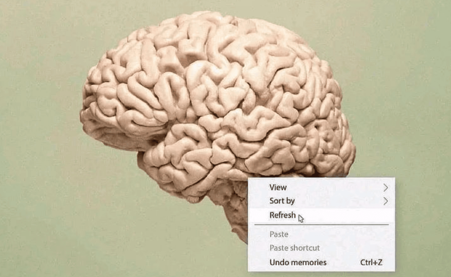 Tóm lược 12 luật trí não để hiểu điều gì đang diễn ra trong đầu chúng ta