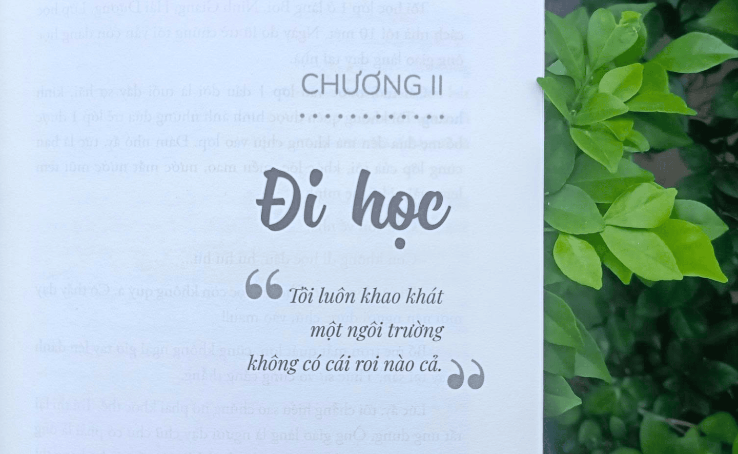 Tôi luôn khao khát một ngôi trường không có cái roi nào cả
