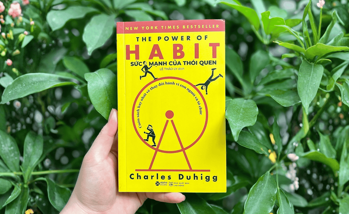 Những trích dẫn hay nhất từ “Sức mạnh của thói quen” để bạn hiểu bản chất của thói quen và xây dựng được thói quen mới