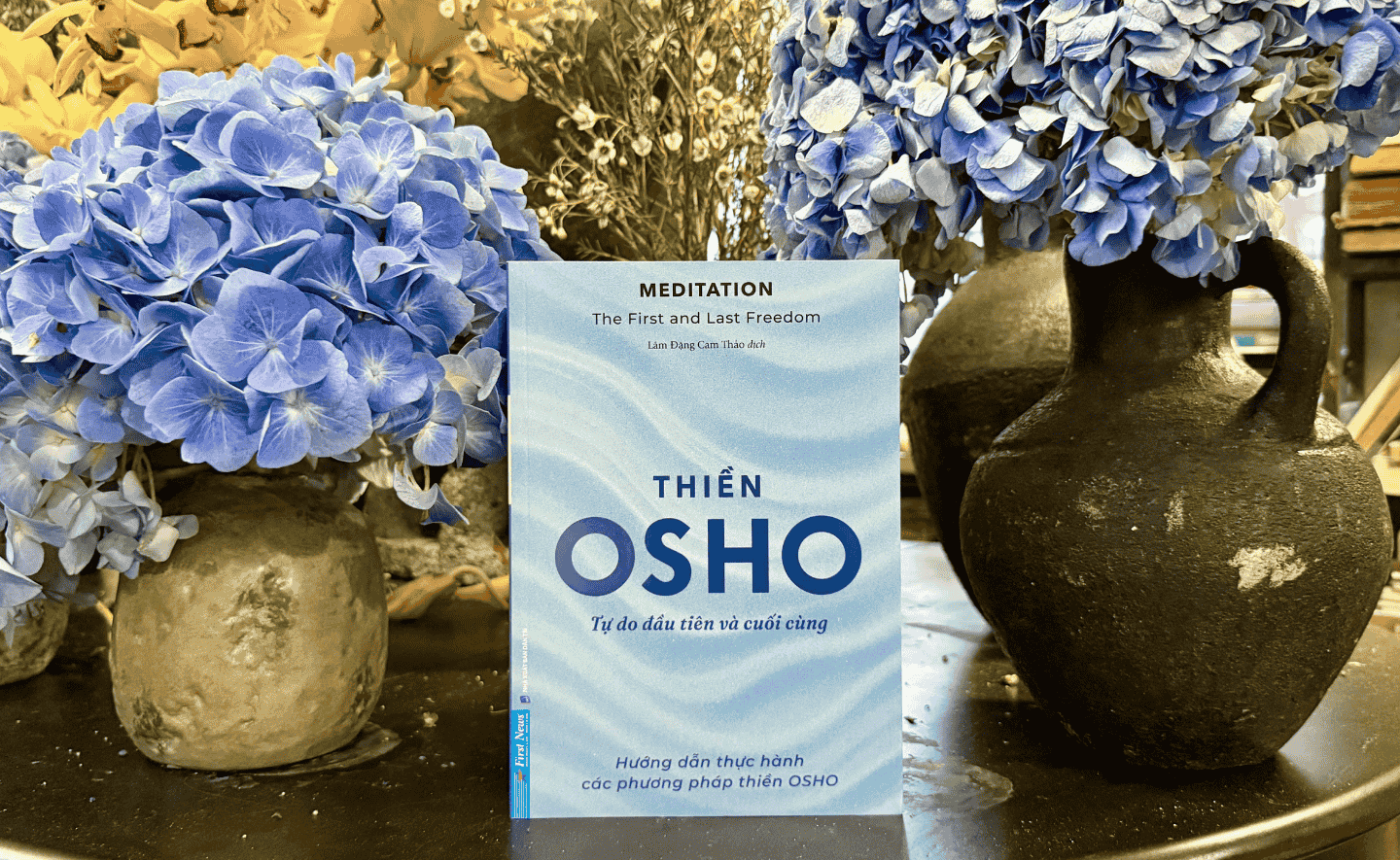 Thiền: Tự do đầu tiên và cuối cùng - Phép giải độc cho tâm hồn hiện đại
