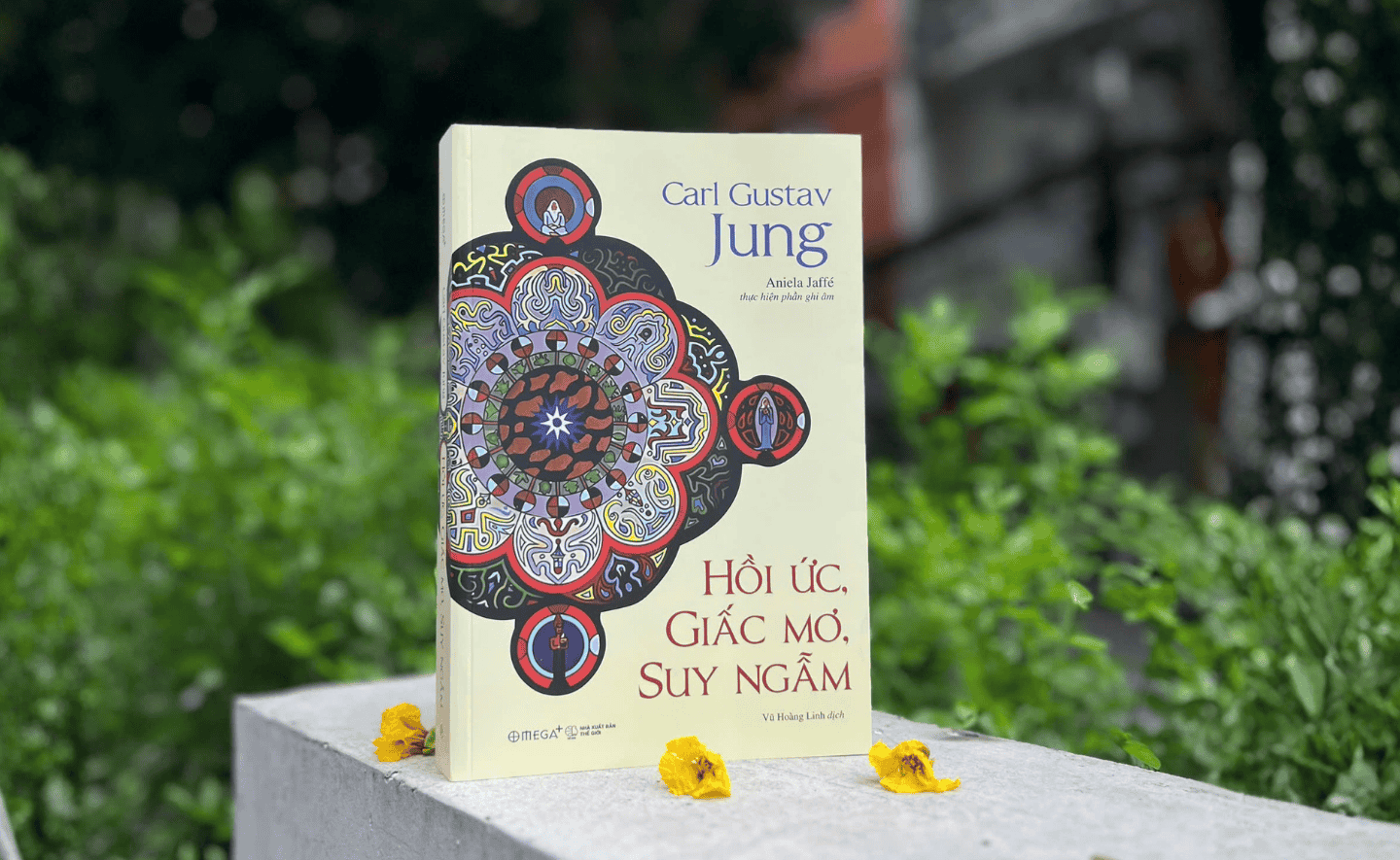 Hồi ức, Giấc mơ, Suy Ngẫm: Tác phẩm in dấu ấn vĩnh cửu của Carl Jung vào tâm lý học hiện đại