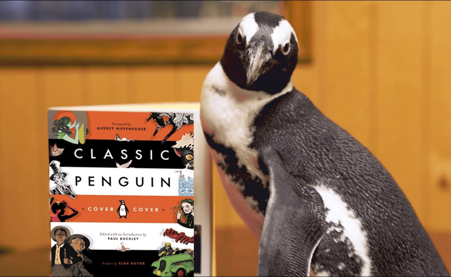 100 tác phẩm kinh điển hay nhất do độc giả bình chọn trên Penguin 