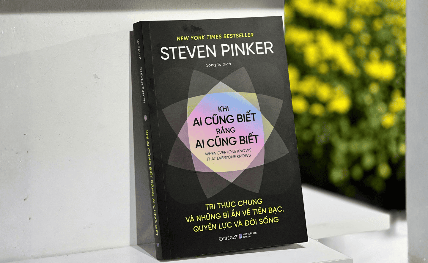 Khi ai cũng biết rằng ai cũng biết: Cách những luật “bất thành văn” trở thành hình thức ổn định xã hội