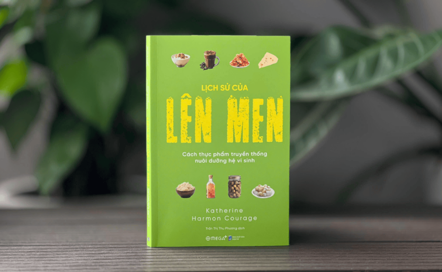 Lịch sử của lên men: Chuyến du hành từ Châu Âu sang Châu Á để hiểu mối quan hệ giữa con người và vi sinh vật 