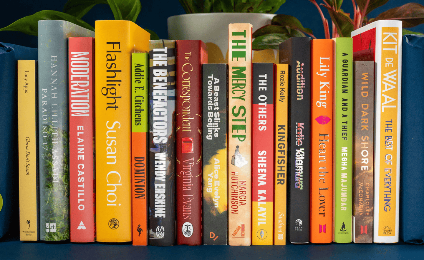 Danh sách dài giải thưởng Women’s Prize for Fiction 2026: nhiều tác giả nổi bật được đề cử