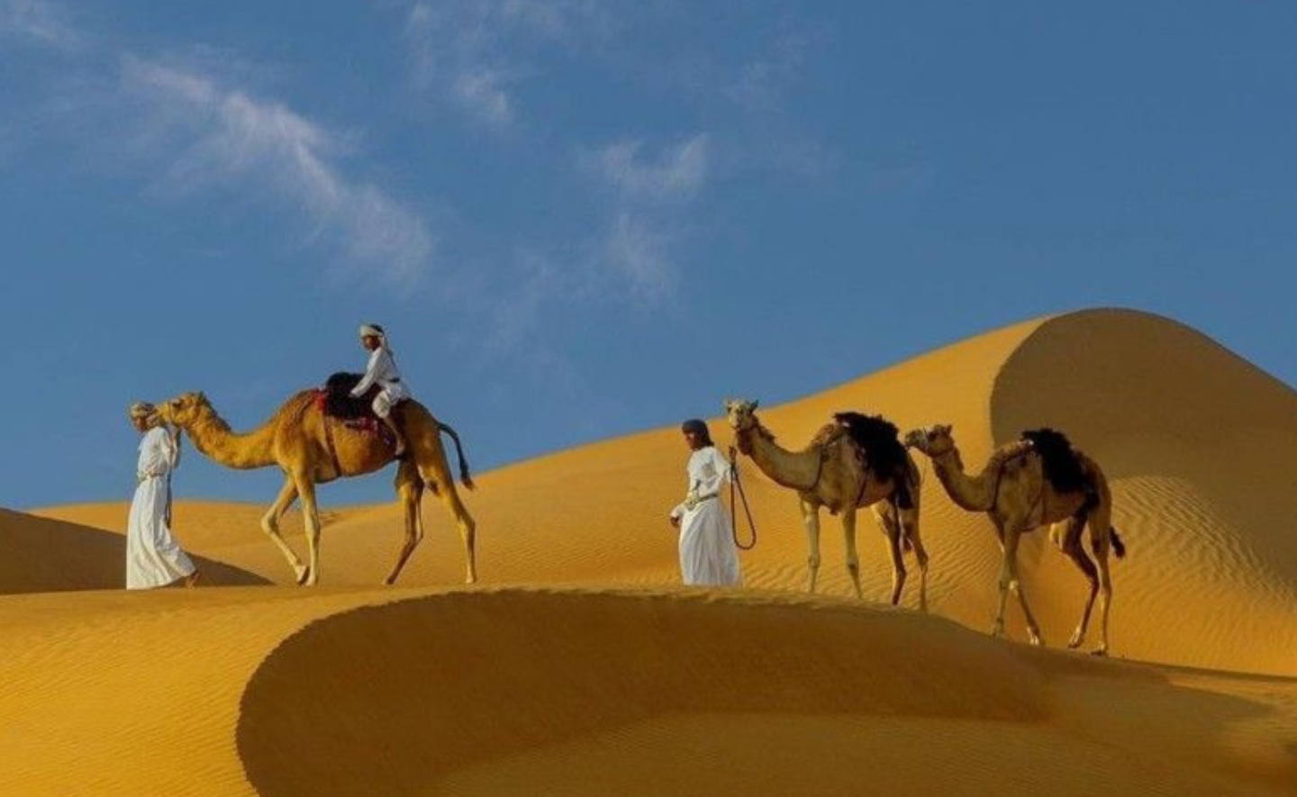 Khám phá Trung Đông qua những trang sách - 6 cuốn sách tiêu biểu về Trung Đông của Omega Plus Books