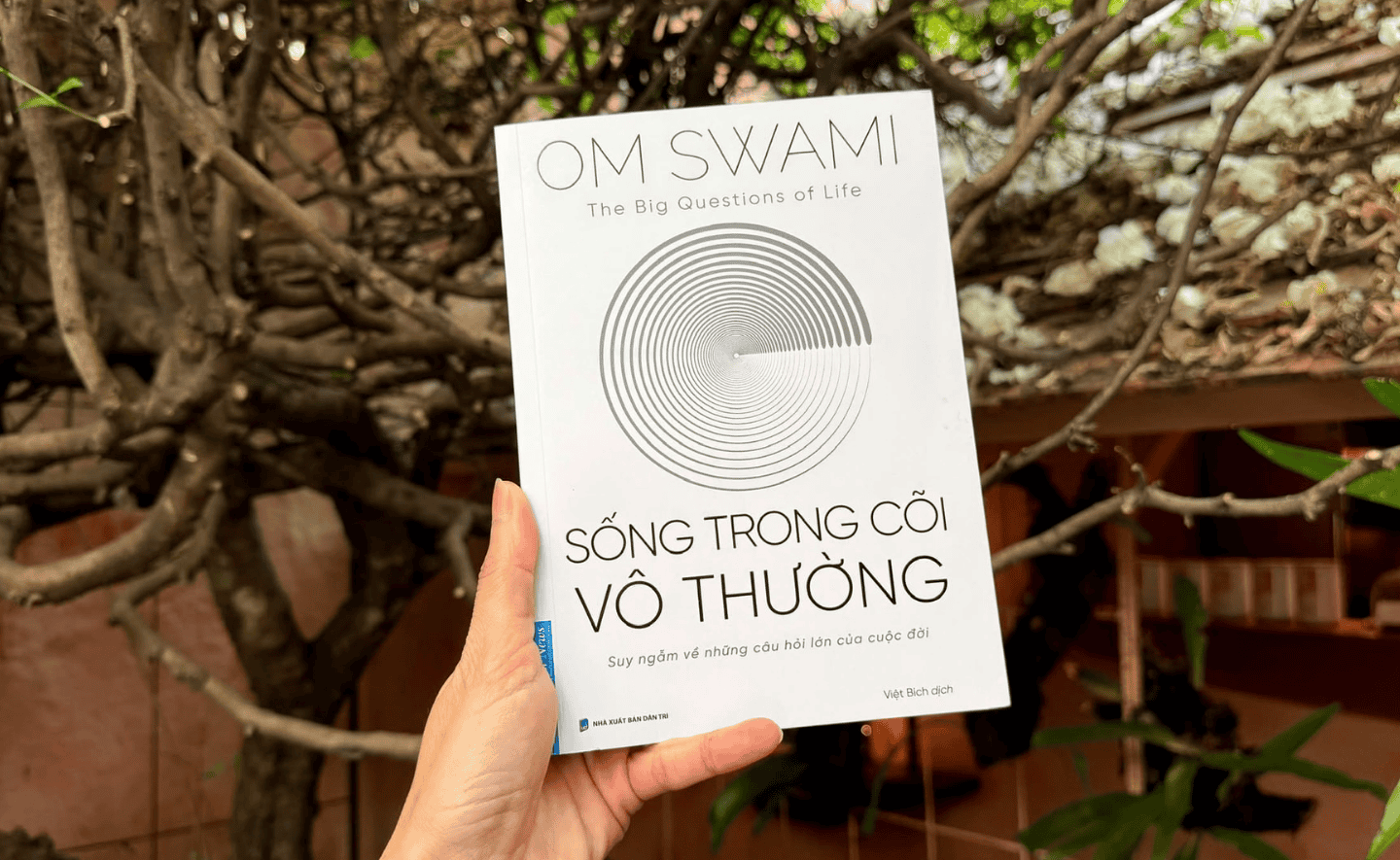 “Sống trong cõi vô thường”: Câu trả lời cho những câu hỏi lớn trong đời!