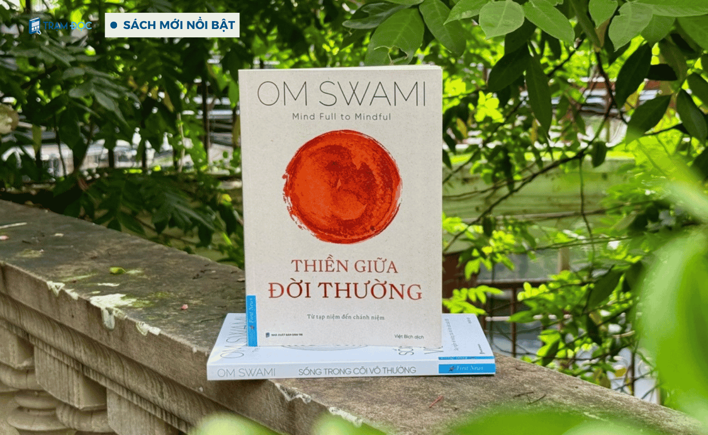 ‘Thiền giữa đời thường’ - Thiền không tách con người khỏi cuộc sống, mà điều chỉnh cách ta sống trong cuộc sống