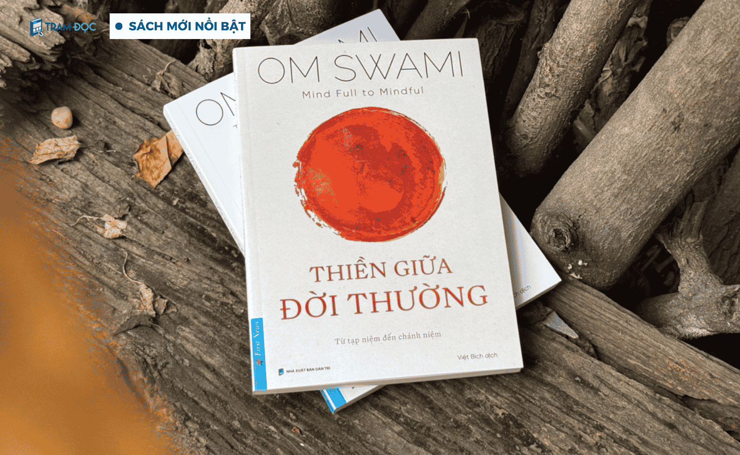 Thiền giữa đời thường – Giải tỏa cái đầu “chật cứng” suy nghĩ để tận hưởng từng khoảnh khắc