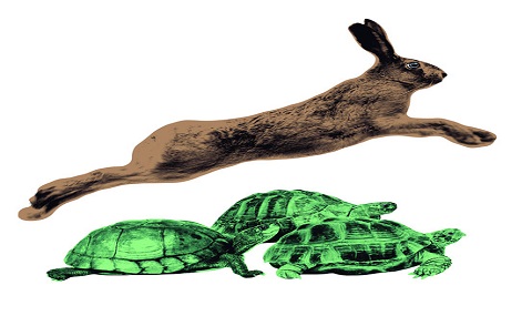 Sáng lập  công nghệ độc chiếm thị trường: Cạnh tranh chỉ dành cho 'loser'