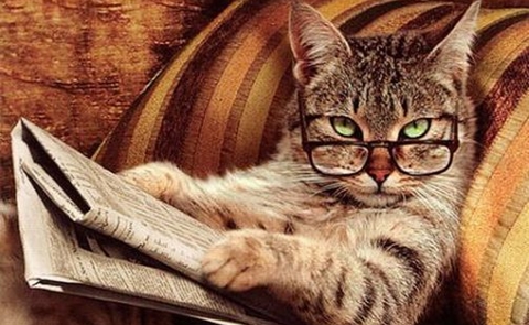 Thử chẩn đoán: Bạn thuộc tuýp người đọc nào?