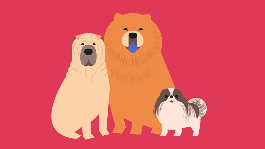 Khi con vật nhìn ta - Triết học về các loài động vật