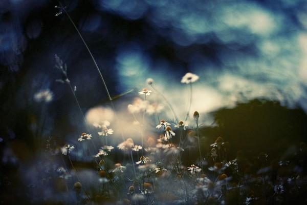 Không cần phải đi trốn, hãy thử du ngoạn bằng ký ức