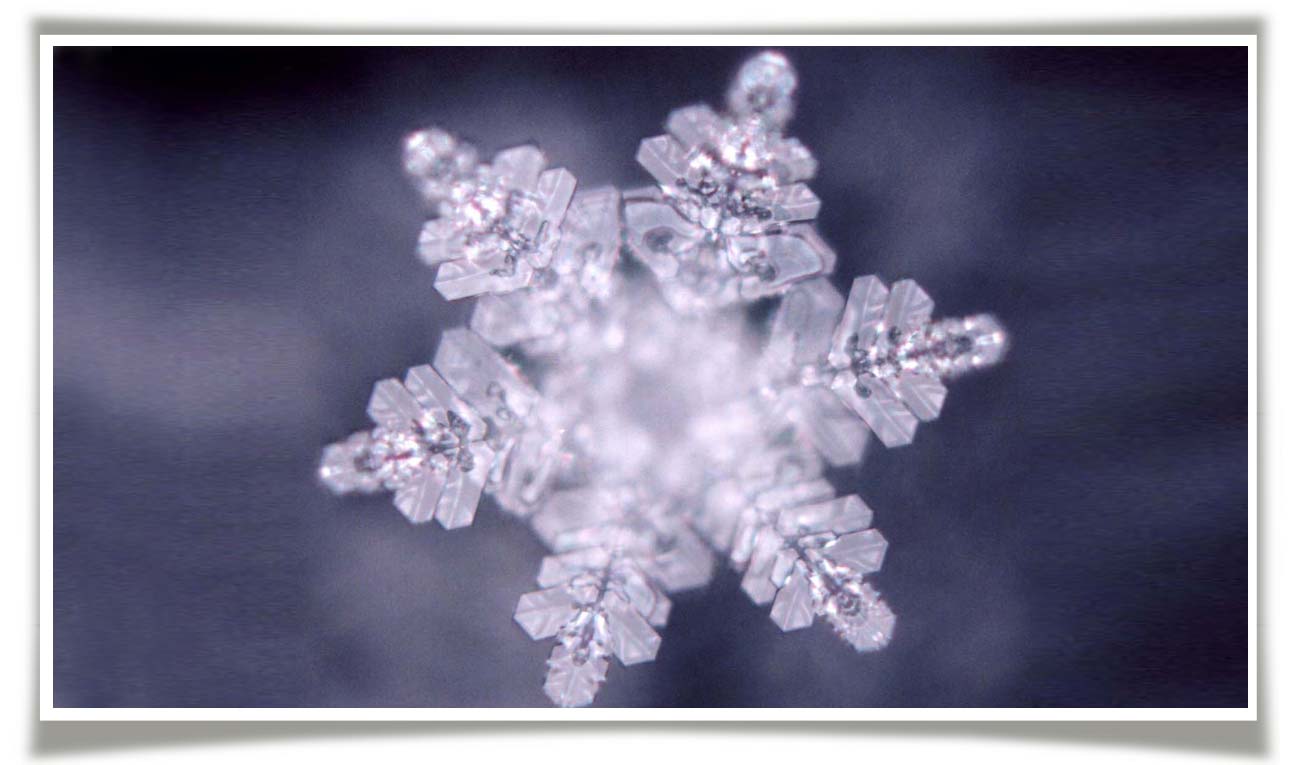 'Bí mật của nước': Khám phá những xúc cảm trong tâm hồn