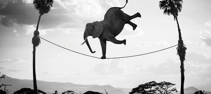 TAO là người bình thường