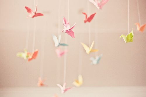 'Ngàn cánh hạc': Đàn bà, nhục cảm và hư ảo