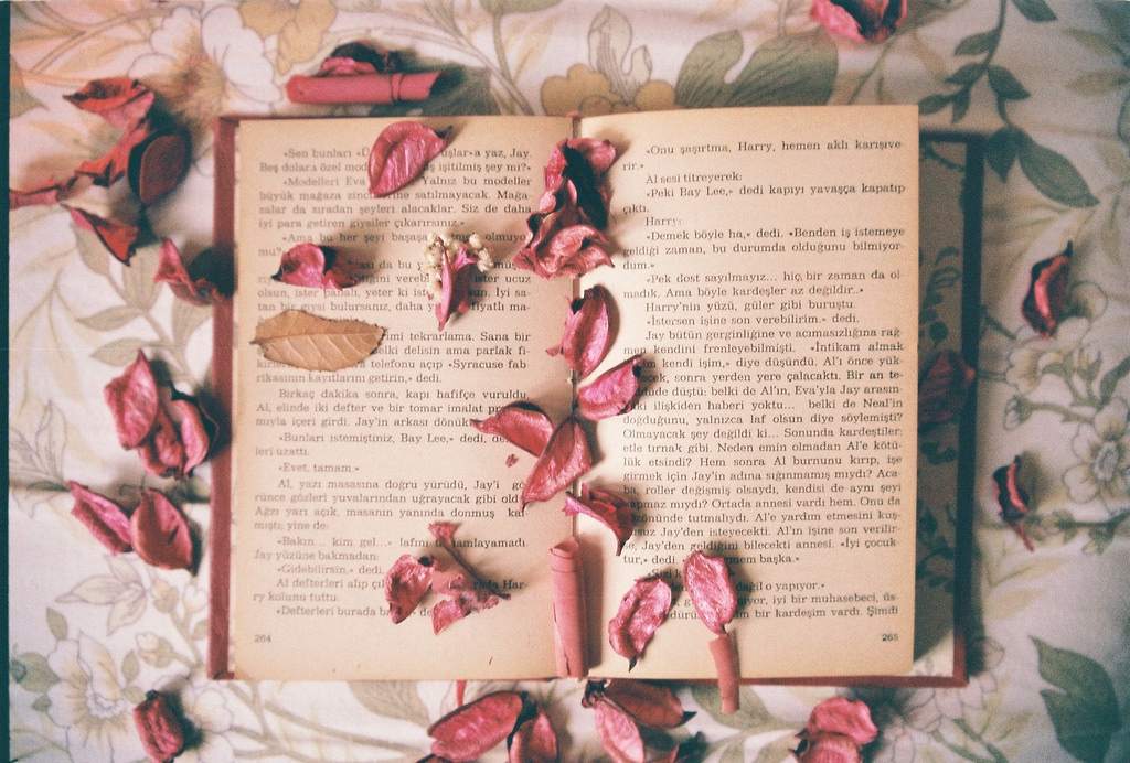 Đời không như phim, cũng chẳng như tiểu thuyết: Thiên kiến kết quả