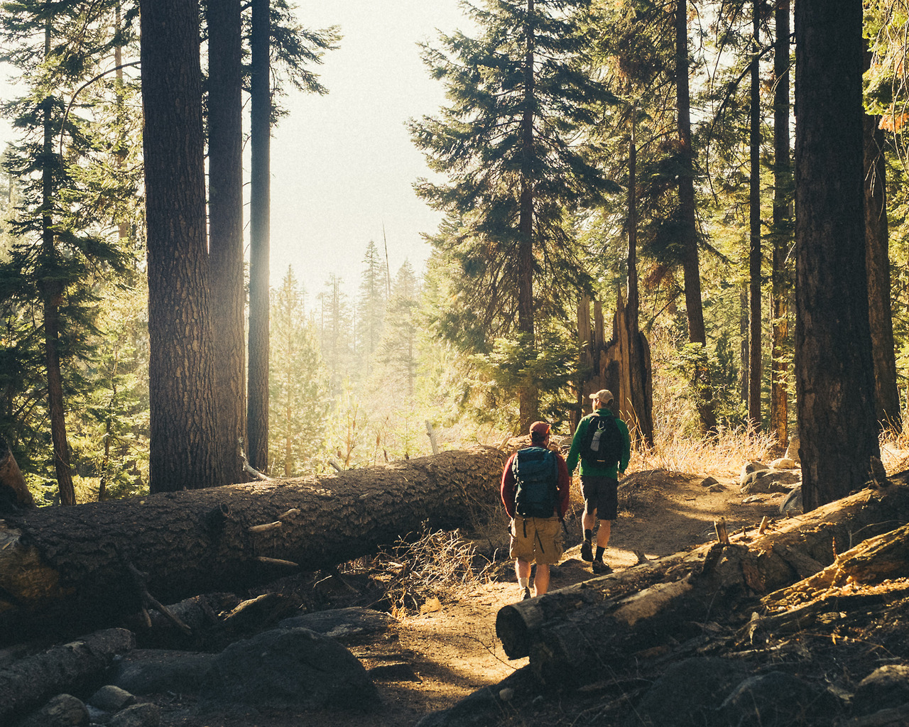 7 cuốn sách du ký hấp dẫn nhất dành cho những tâm hồn thích phiêu lưu