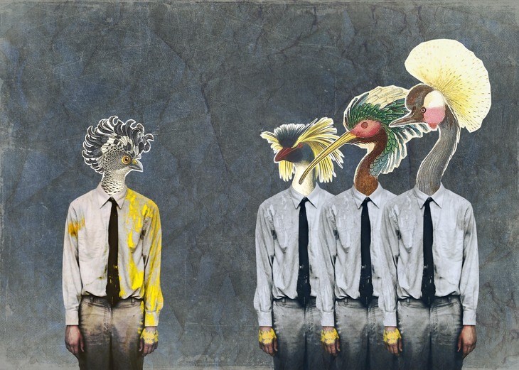 Chúng ta là những con tắc kè hoa: Môi trường sống quyết định bạn là ai