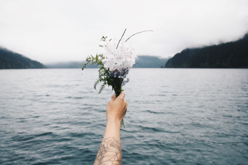 Tuổi 20-Tôi đã sống như một bông hoa dại: Chất men yêu ngày tuổi trẻ