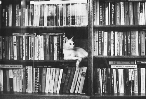 Sách hay nên đọc: Tuyển tập sách phi hư cấu tháng 4/2017