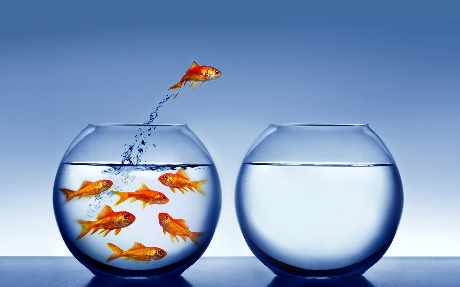 Đây là nước - David Foster Wallace