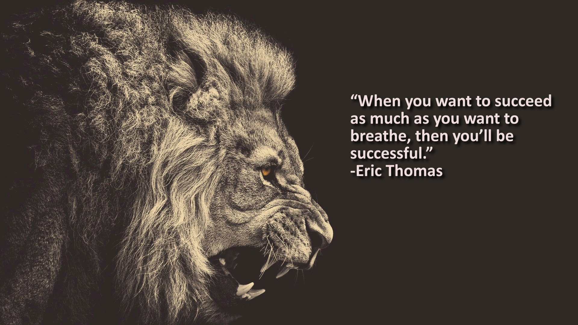 Thức Dậy và Mơ Đi: Muốn thực hiện ước mơ? Hãy hiểu bản thân