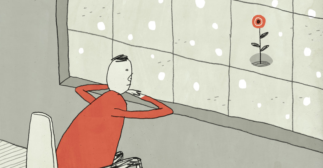 Nhặt từng niềm vui nhỏ, gom thành hạnh phúc lớn