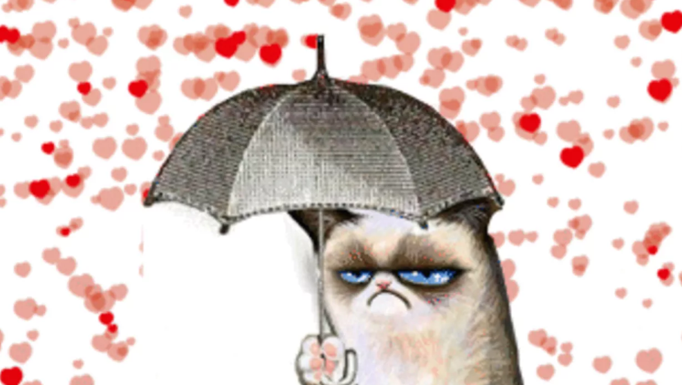 Xu hướng tình dục bán vô tính: Giữa yêu và không yêu cách nhau một tình bạn