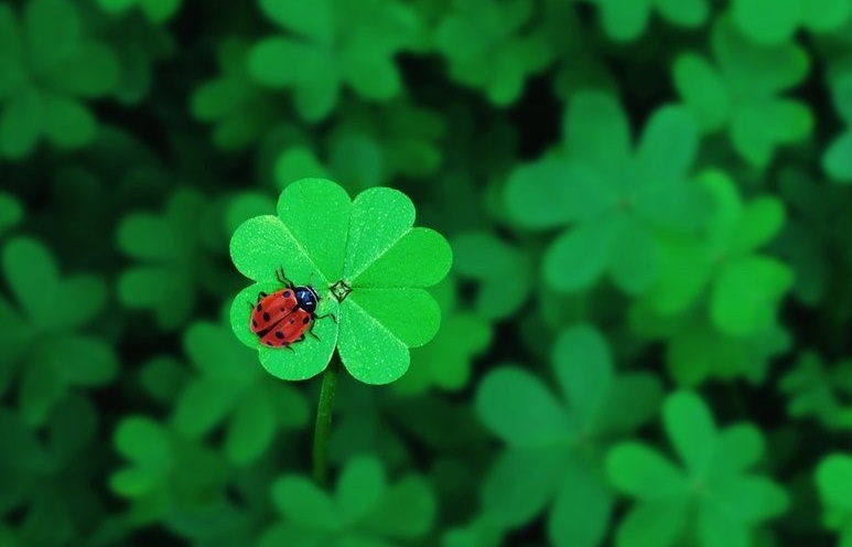 9 thói quen để làm chủ cuộc sống: Bí mật hạnh phúc giản đơn