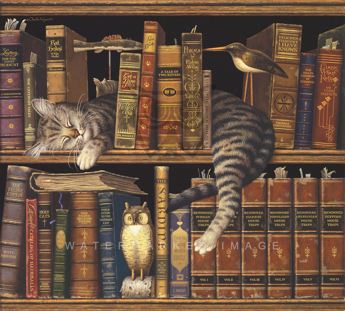 Những Ổ MỌT chất nhất quả đất: Năm thư viện trên thế giới luôn mở cửa bất chấp mọi điều kiện