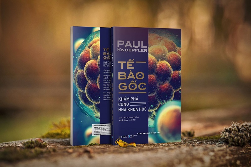 Tế bào gốc:  sự kì diệu hiện diện trong cơ thể bạn