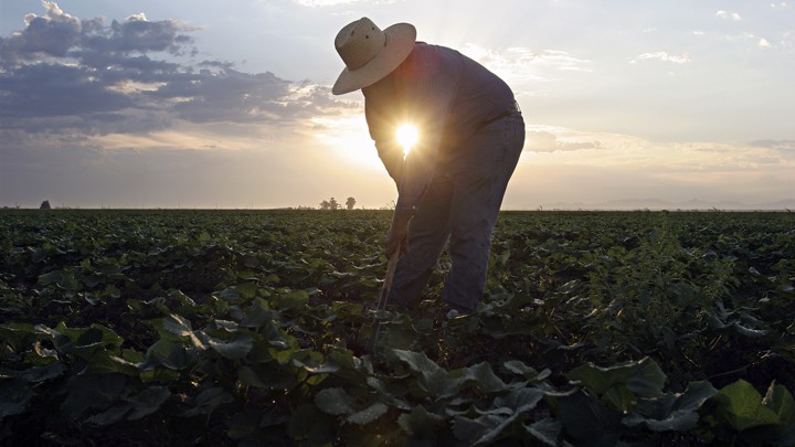 Ở tuổi đôi mươi mà bạn chưa giàu thì bạn sẽ nghèo suốt đời thôi