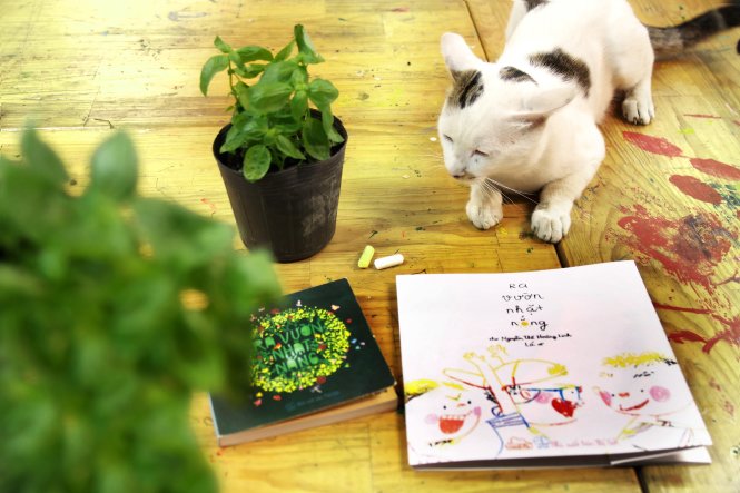 Nguyễn Thế Hoàng Linh: Làm thơ kiểu thiên tài