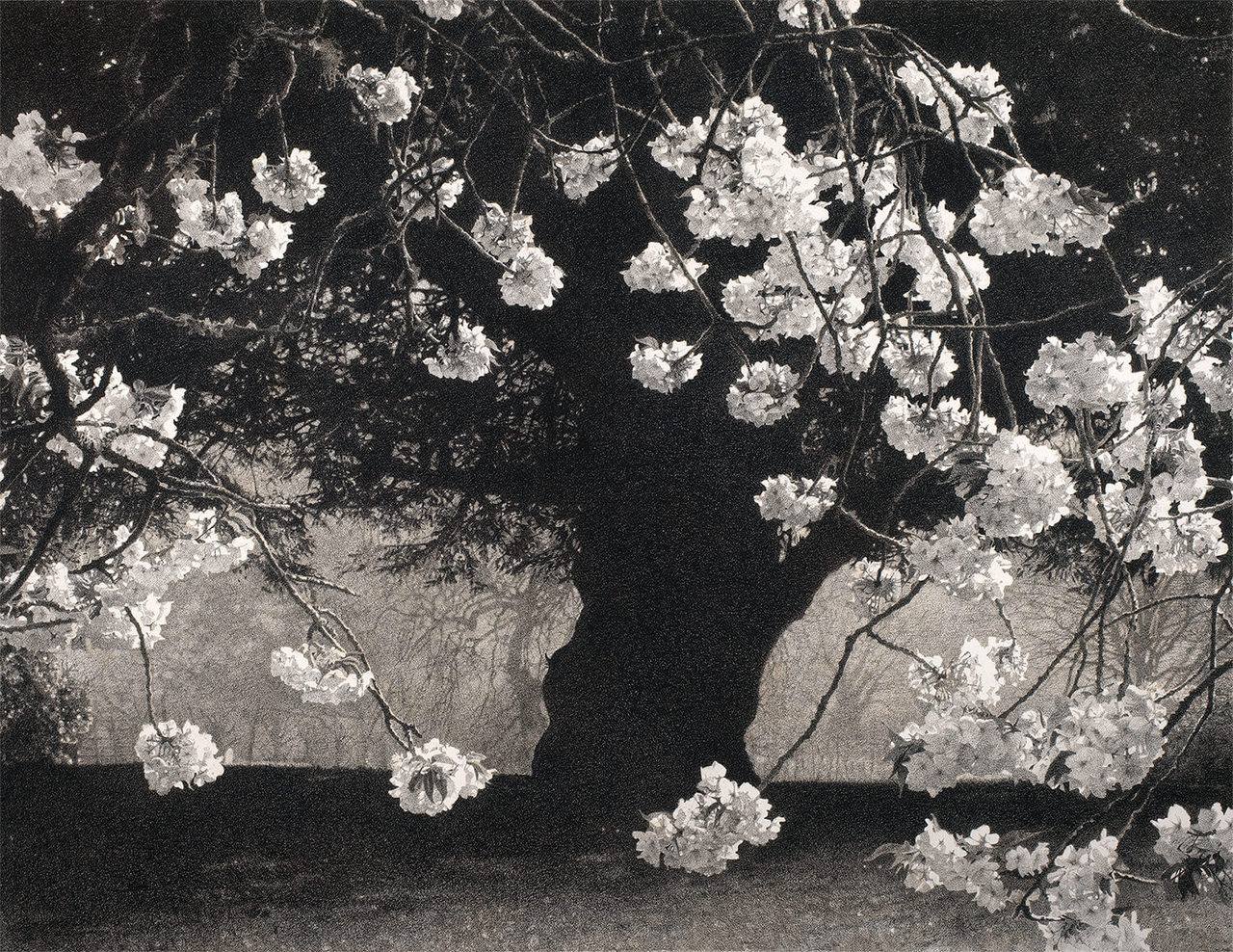 Khi nào thì một đứa trẻ hiểu về sự chết?