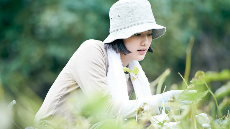 Nếu những tham vọng đánh mất tự do: Hãy tôn vinh cuộc đời lặng lẽ