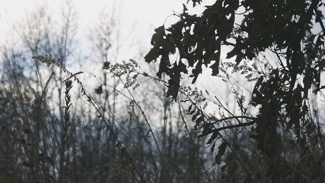 Đọc gì khi gió mùa về sớm: 9 cuốn sách dành cho những tiếng lòng đang thổn thức