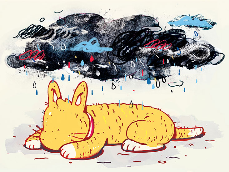 Mèo có bị “khủng hoảng tuổi 20” không?