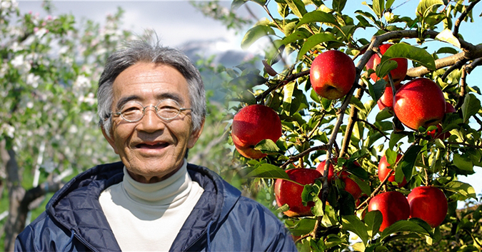 Quả táo thần kỳ của Kimura hay sự thần kỳ trong quyết tâm thực hiện ước mơ của con người