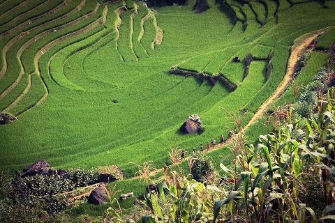 Tủ sách Hiểu Việt Nam - Hiểu để phát triển