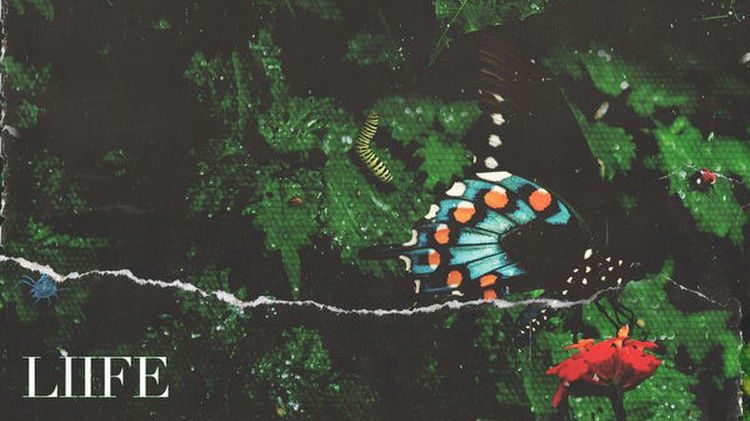 Nếu biết trăm năm là hữu hạn – Những mảnh ghép lắng đọng của bức tranh đa sắc