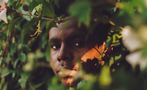 Walden - Một mình sống trong rừng