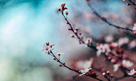 Năm mới ta cũng mới: Có những cuốn sách thay đổi cuộc đời ta