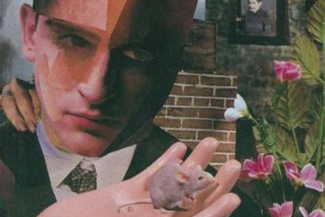 Hoa trên mộ Algernon: Bi kịch của một thiên tài ngốc nghếch