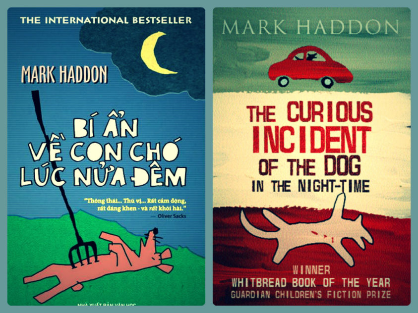 Bí ẩn con chó lúc nửa đêm: Tận cùng về sự thấu cảm