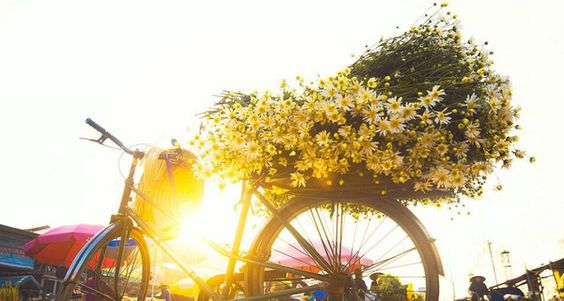 Minh Anh và Đặng Chân Nhân: Một con đường mới của văn học Việt Nam